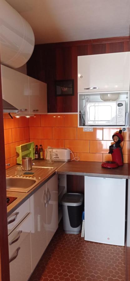 Appartement St Lary Soulan Pied Des Pistes Saint-Lary-Soulan Ngoại thất bức ảnh